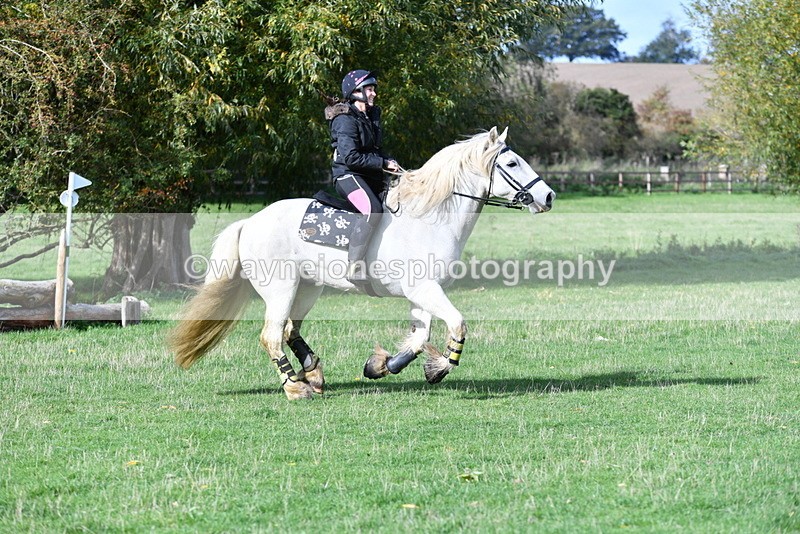 WJ5_7901 - Time 10:31 to 12:01