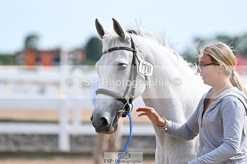 240717A-161527-03388 - Trot Up 4pm to 5pm