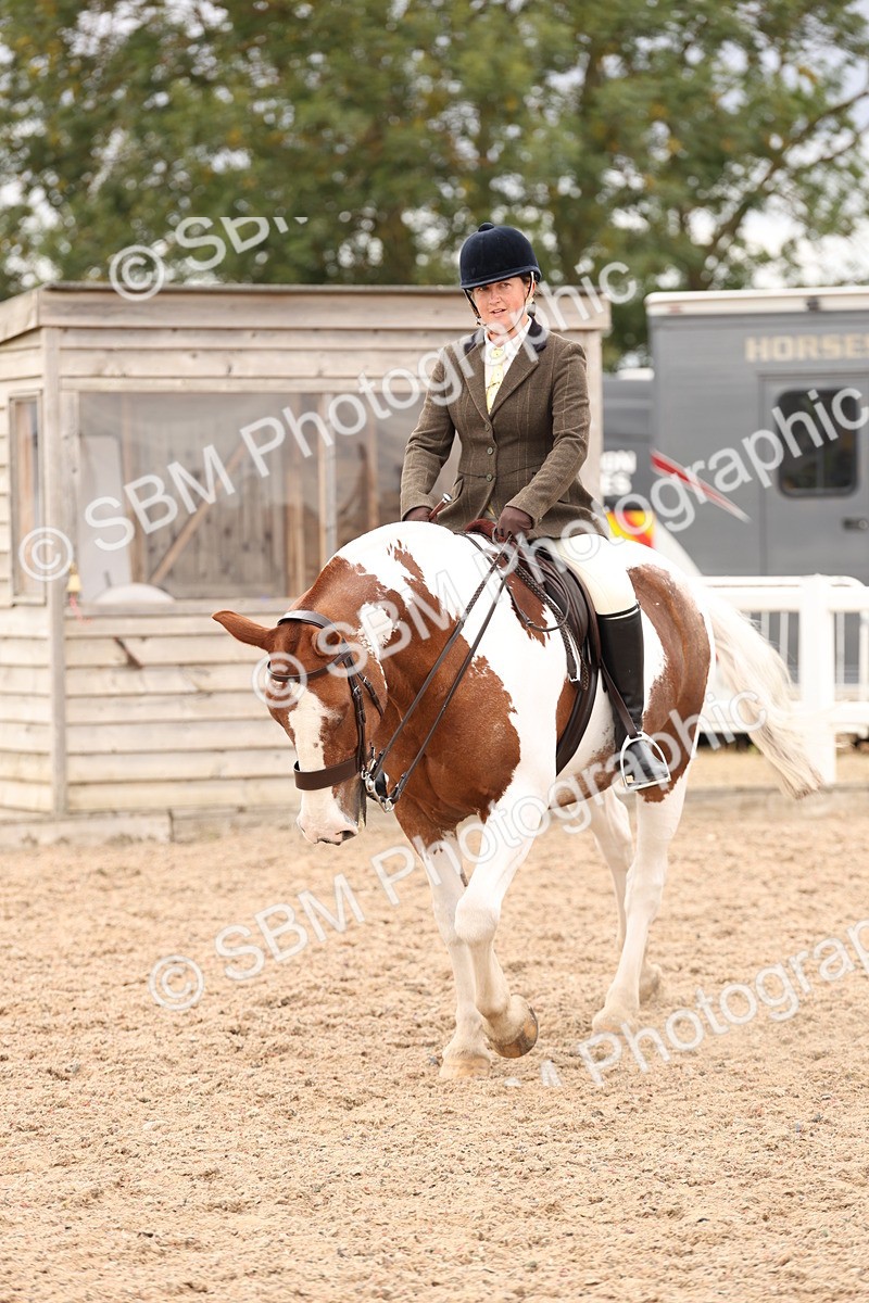 SBM_19572 - Class 215 - Ridden Show cob
