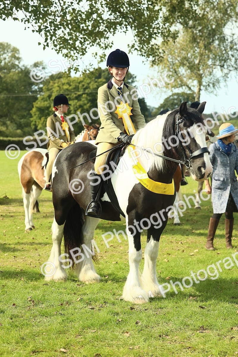 SBM_68973 - S58 - Mini Show Cob Ridden