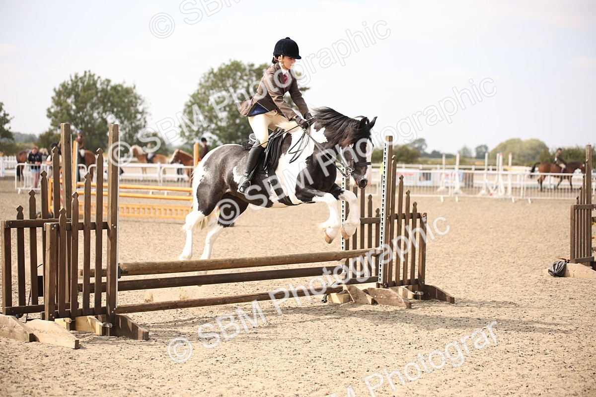 SBM_14979 - Class 408a - Working Veteran 70cm (15-19