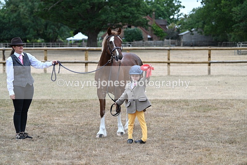 WJ7_8571 - Class 4 Prettiest Mare up to 14.2hh
