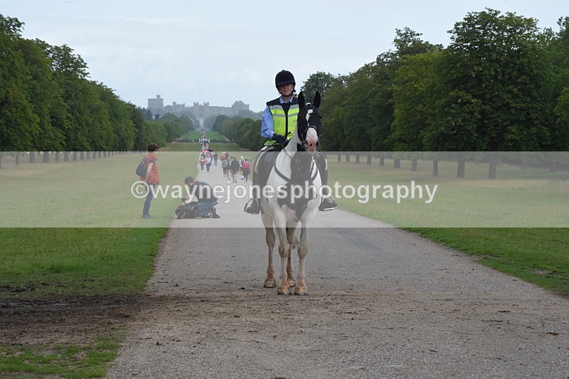 TT3_0163 - Time at Crossing 13:17 to 14:48