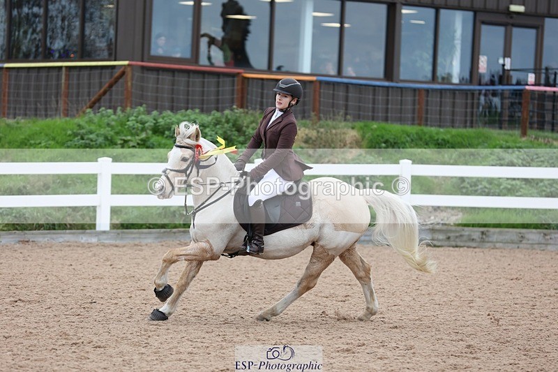 241116X-110613-01069 - Cls 08 Pony Winter Nov Champs J-O