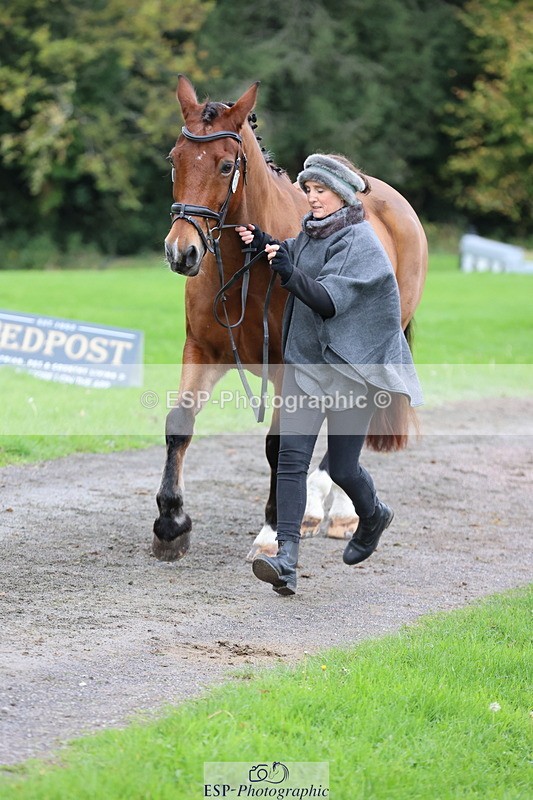 251026A-110014-23443 - G-575-Victoria.Woodland