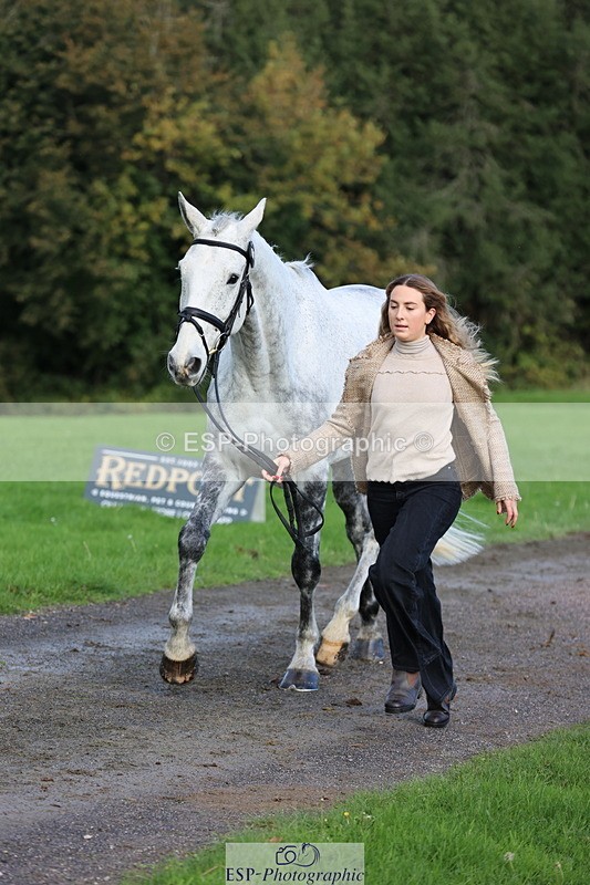 251026A-101911-22880 - D-329-Clementine.Montgomerie