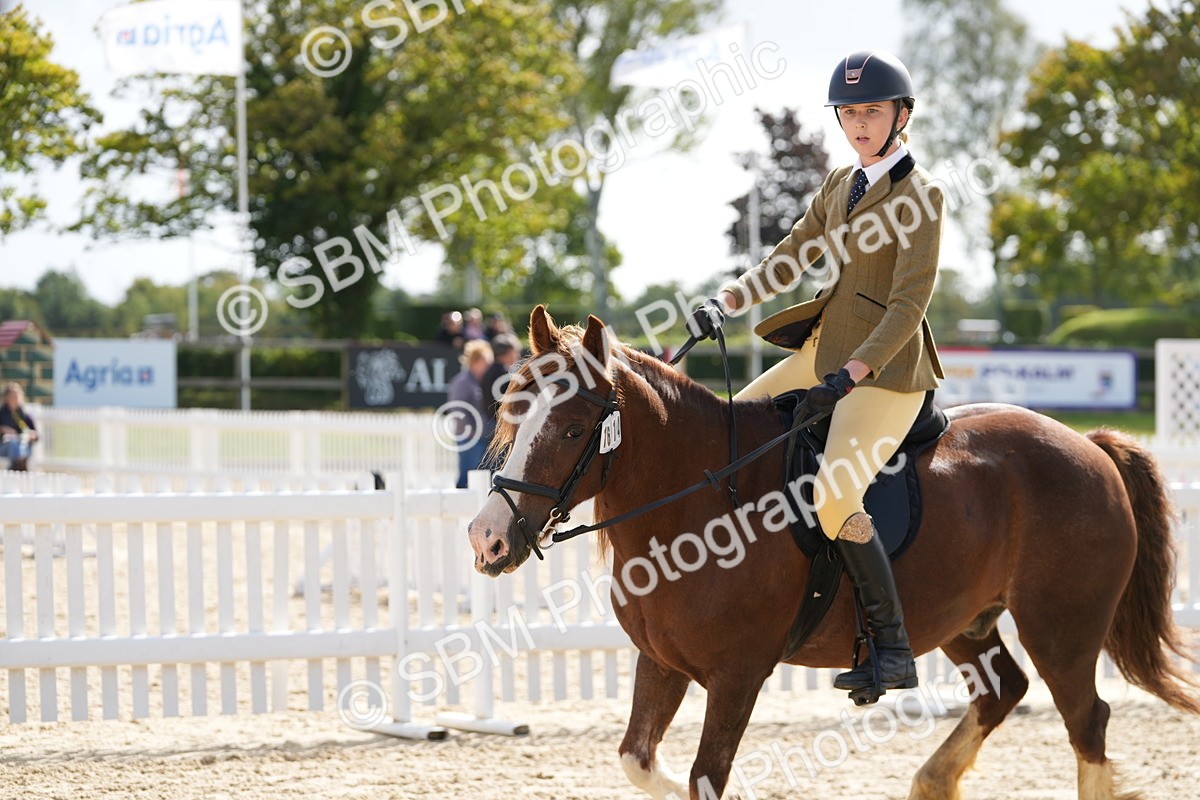 SBM_17877 - J58 - Clear Round 50cm