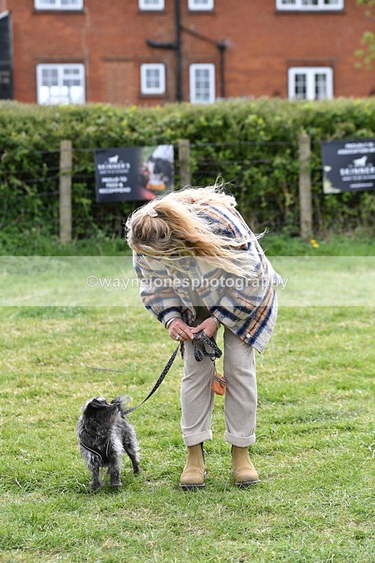 WJ5_9332 - Class 1 Best Cross Breed / Heniz 57