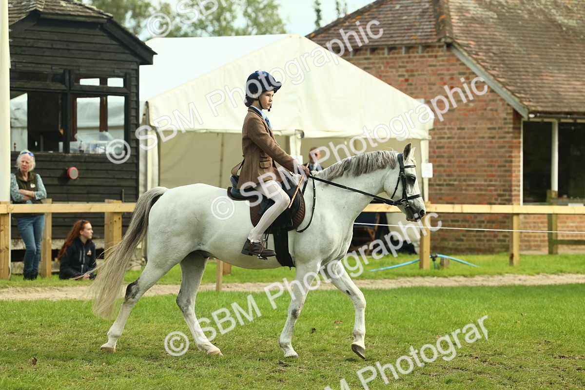 SBM_69776 - S59 - Mountain & Moorland Ridden Small Breeds
