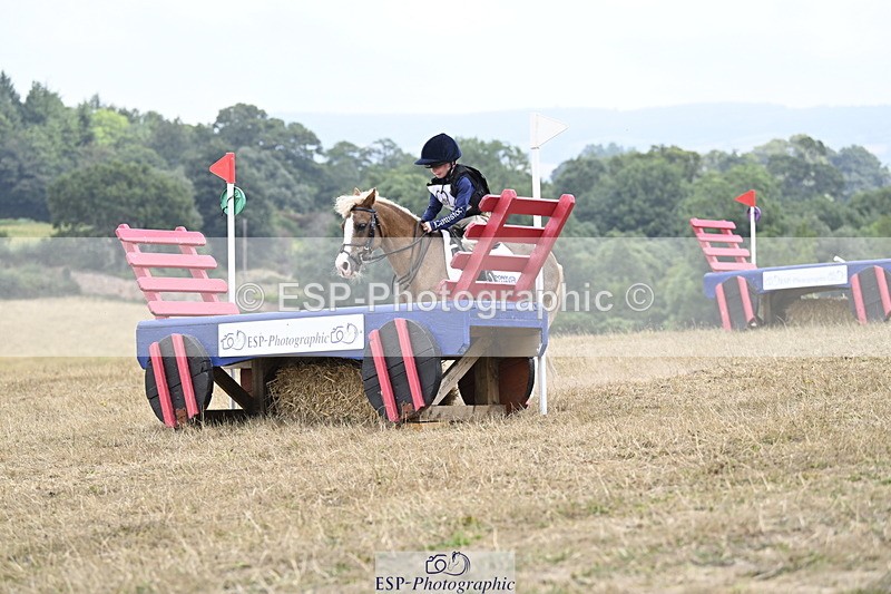 250824A-123102-36377 - 2028-Harry.Honeyball-Sardis.Cassius