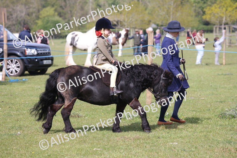 20260426-0570 - Class 31 - Leading Rein