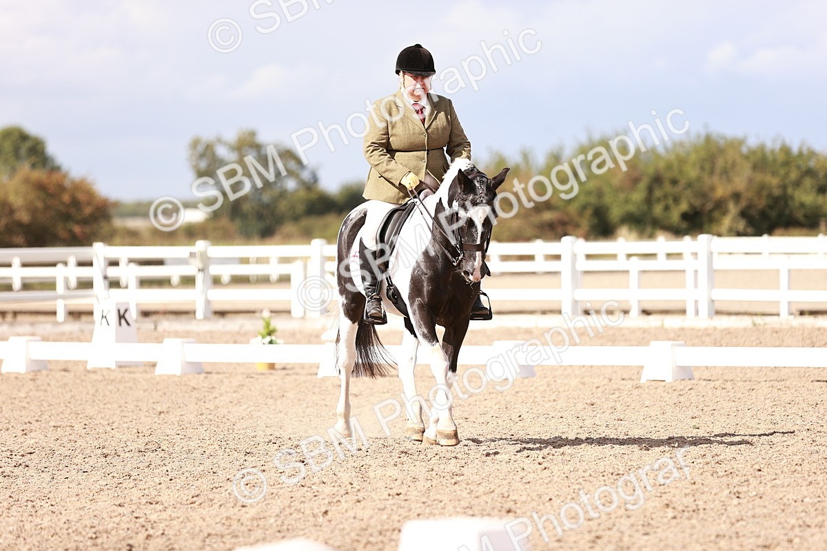 SBM_06596 - Class 39 - Medium 3