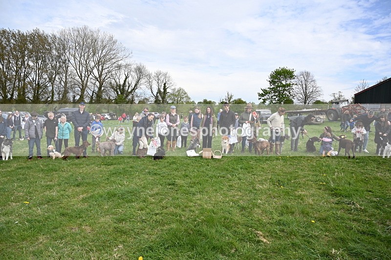 WJ6_8653 - Class 6 Best Rescue