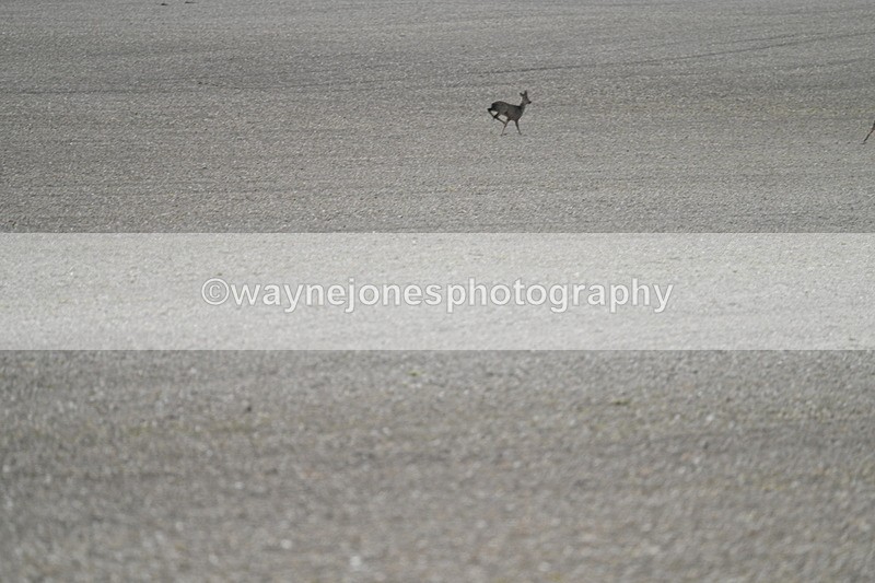 WJ7_7962 - Line 2 A camera