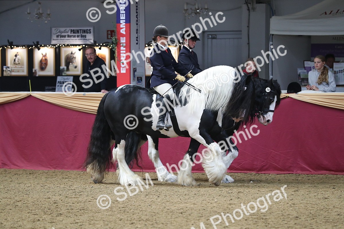 SBM_13677 - Class 109 Ridden Pairs - Section B