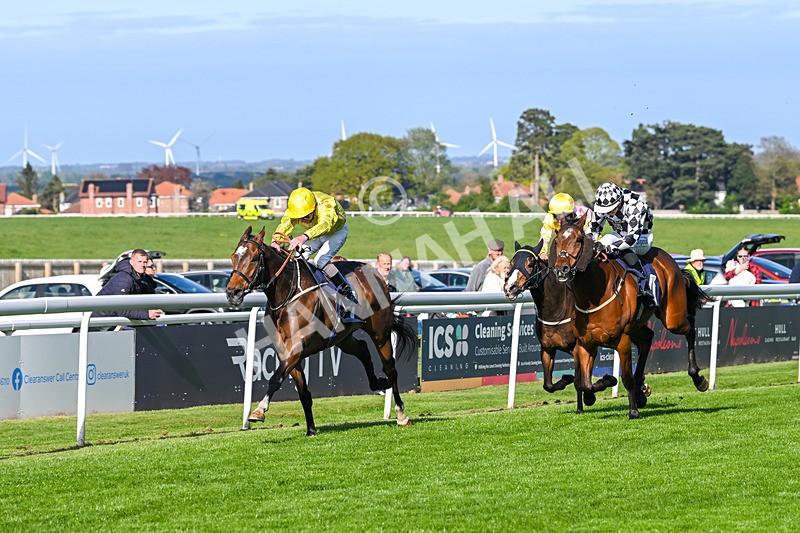 240425-Race 7-Mister Daydream-1794 - Race 7