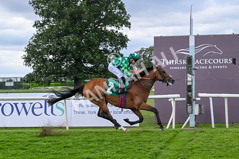 080825-Race 5-Paddy The Squire-2690 - Race 5