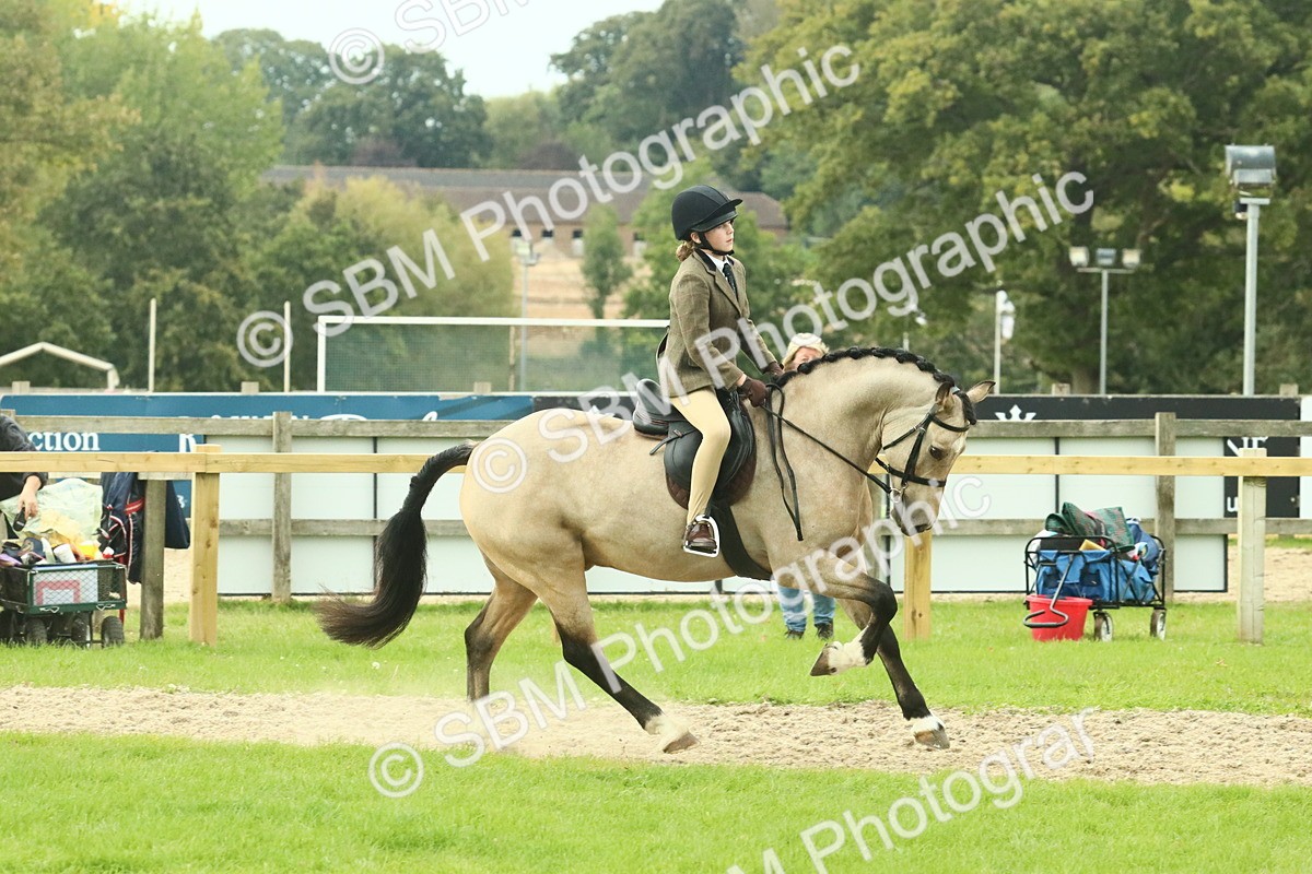 SBM_74017 - S 61 - Show Pony & Show Hunter Pony Ridden
