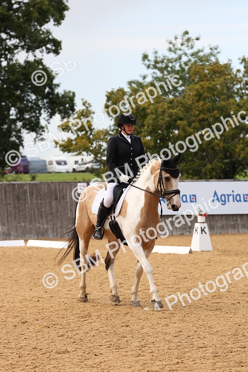 SBM_10631 - D9 - Small Tour Championship Prelim 3