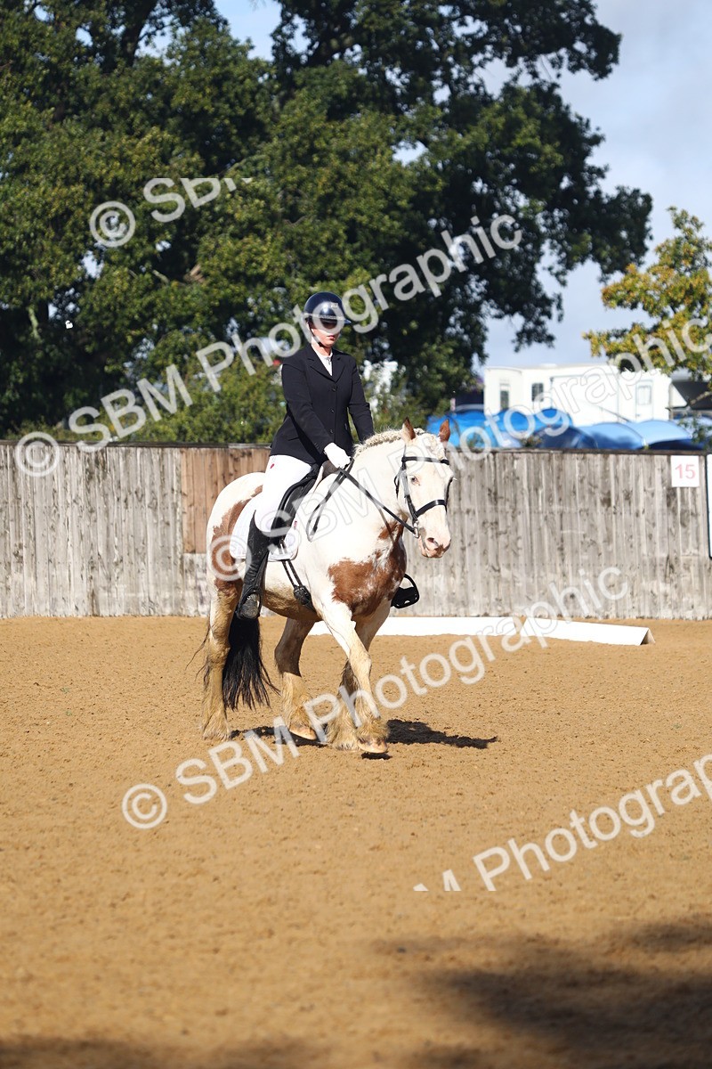 SBM_38995 - D21 - Junior Championship Intro 1