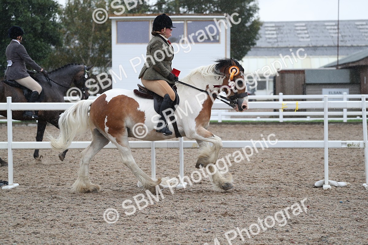 SBM_20532 - Class 601 - 2025 Area - Ridden Diamond