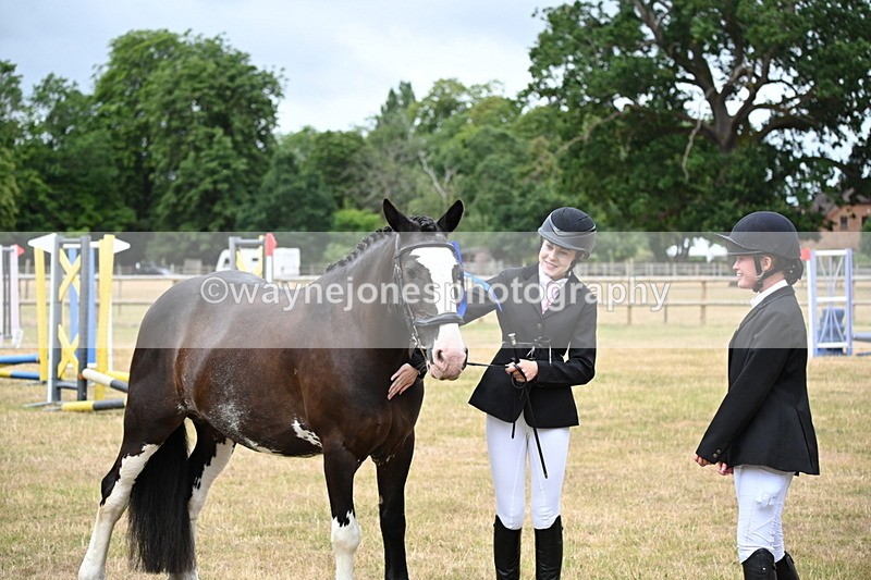 WJ6_4467 - Class 10 Coloured In-hand