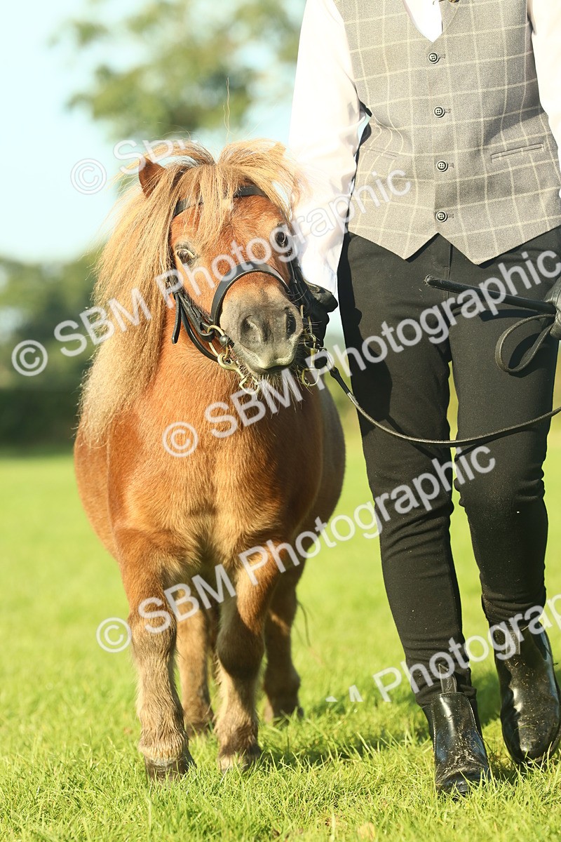SBM_58442 - S37 - Starters In Hand Showing