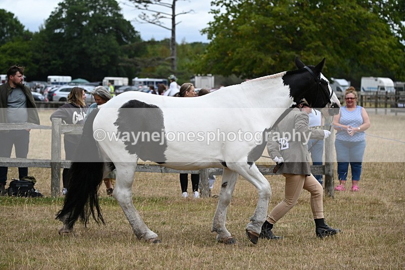 WJ6_8370 - Class 10 Coloured in Hand