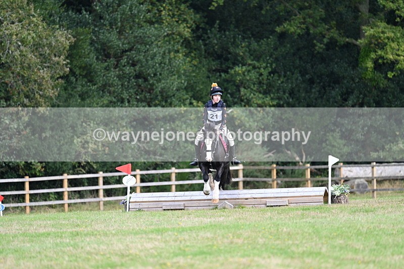 WJ7_8036 - 40cm Time 10:49 to 11:18