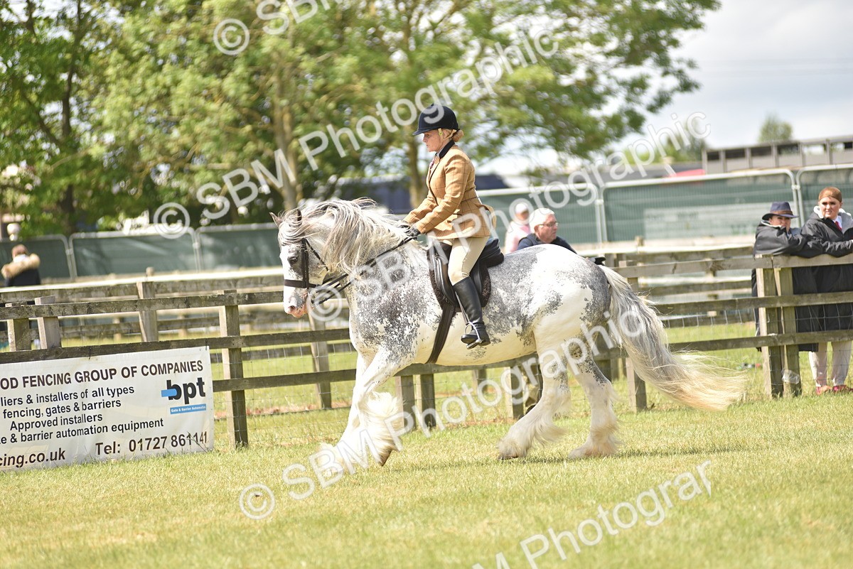 SBM_15847 - Class 115-116 - SSADL Home Produced Members Qualifier