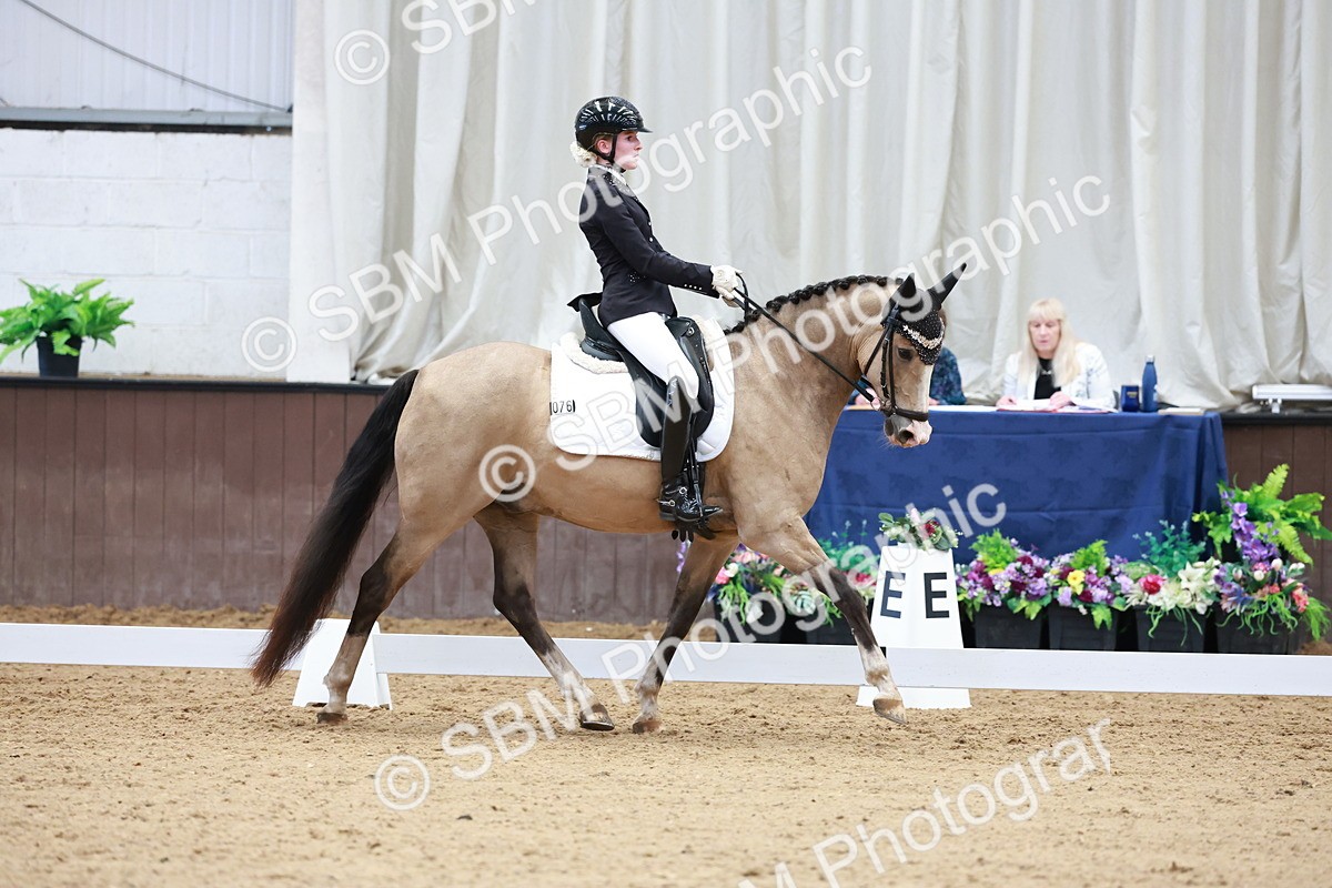 SBM_017343 - Class15 - FEI Pony