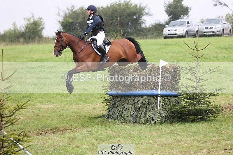 240901A-124610-08908 - 308-Tommy.Greengard-MBF.GOOGLE