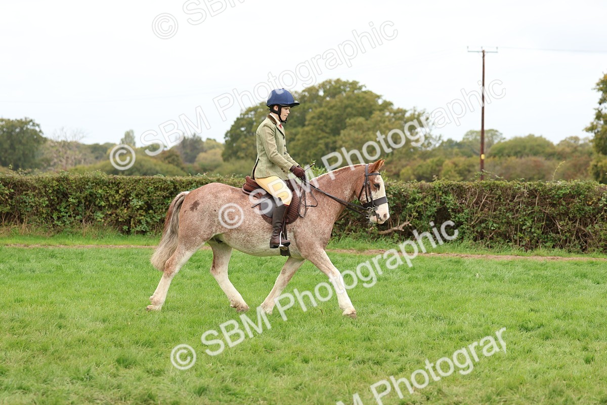 SBM_64496 - S58 - Coloured Pony Ridden