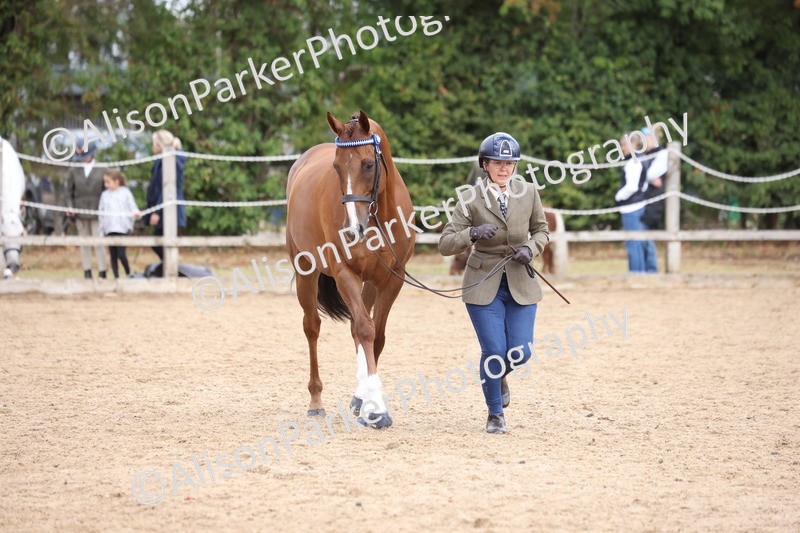 20260831-1967 - Class 5 - Retraining of Racehorses