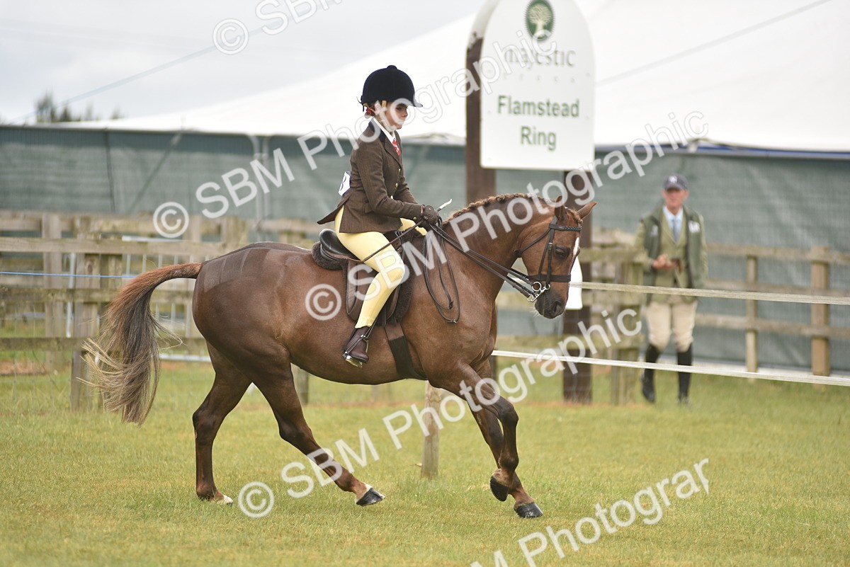 SBM_12048 - Class 110-112 - LIHS BSPS Performance Pones