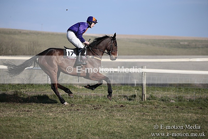 PtP 240218 341 - Vine & Craven Hunt Point-to-Point Barbury racecourse 24/02/18