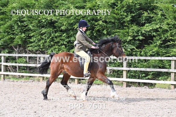 BPP_7601 - RING 1  (RIDDEN HORSES / IN HAND / VETERAN ETC)