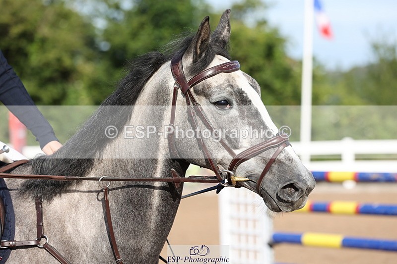 240629A-075525-02312 - Cls 16 British Novice and 80cm Open