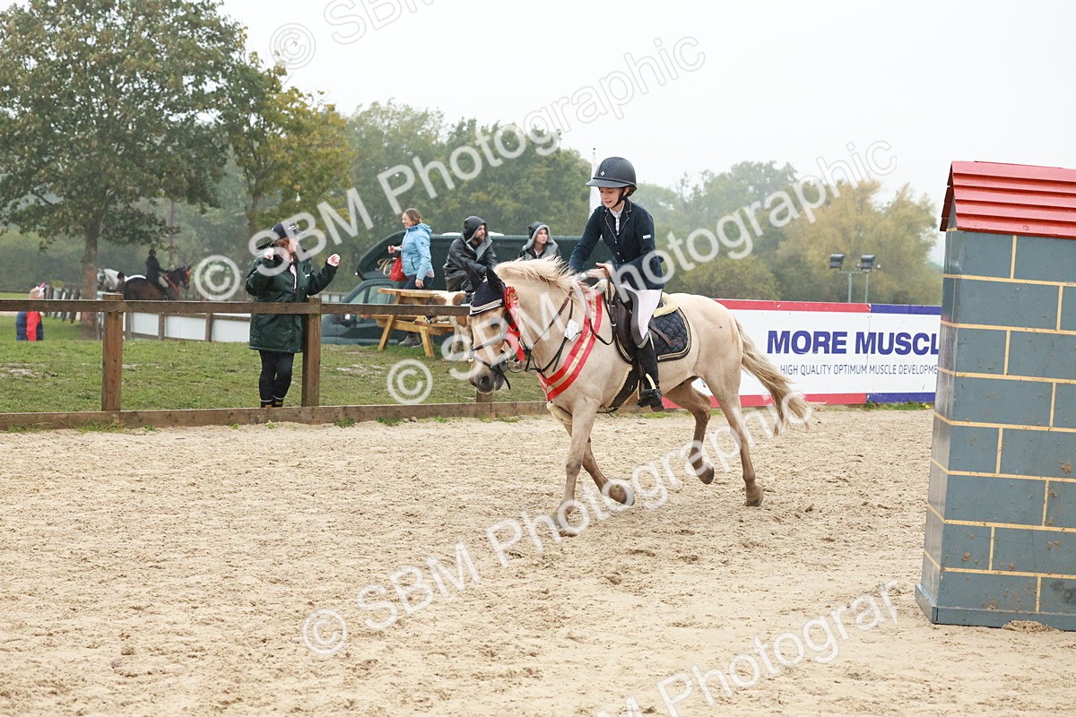 SBM_73651 - Supreme Championship Junior Pony 60cm & 65cm