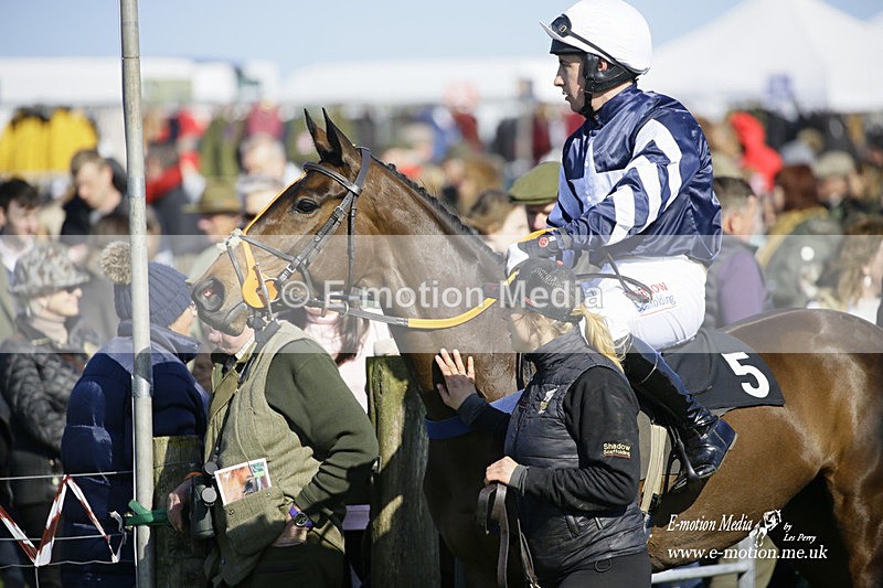 PtP 190322 563 - Wilton Hunt PtP Milborne St Andrew 19/03/22