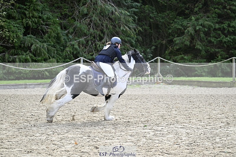 251005A-121452-03680 - Cls 08 Mini 70-75cm