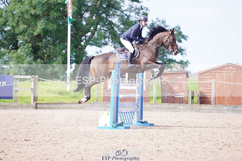 240802A-102020-03563 - Cls 15 Foxhunter