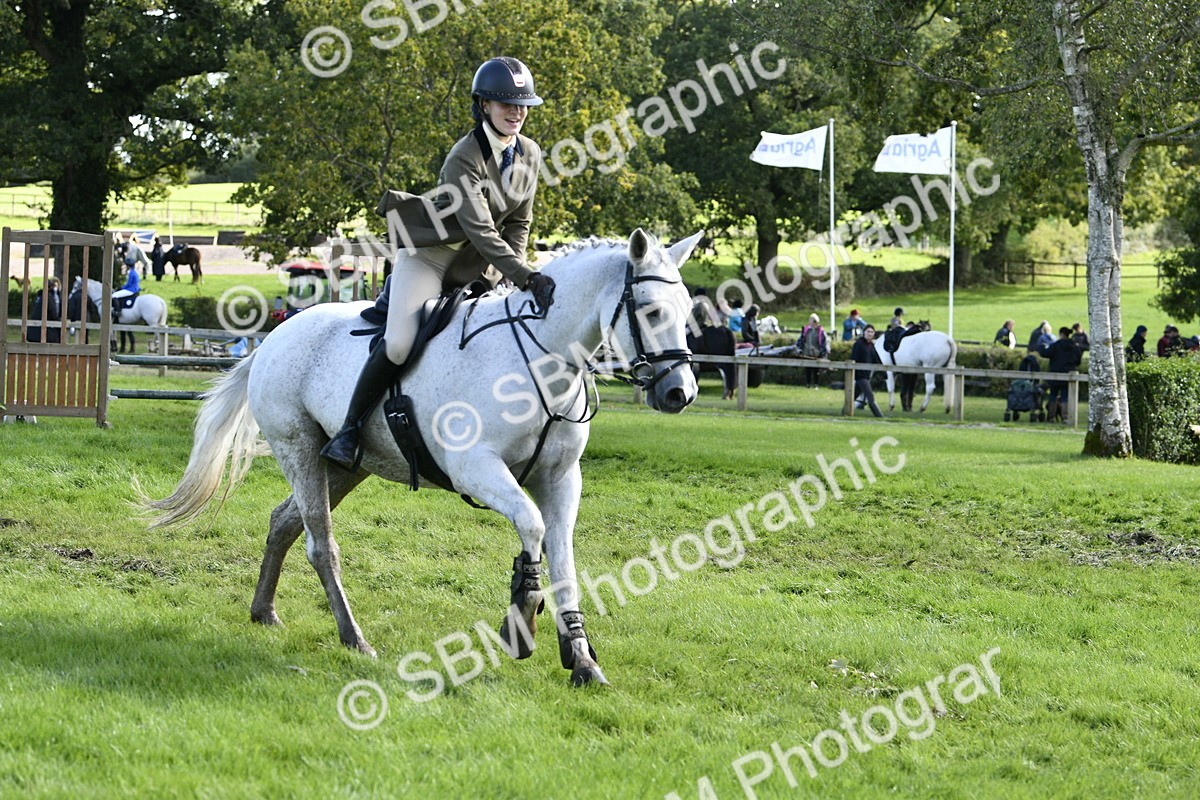 SBM_45746 - S33 - Working Hunter Pony