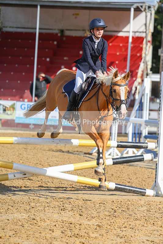 3E7A8328 - Class 4: Pony British Novice/80cm Open