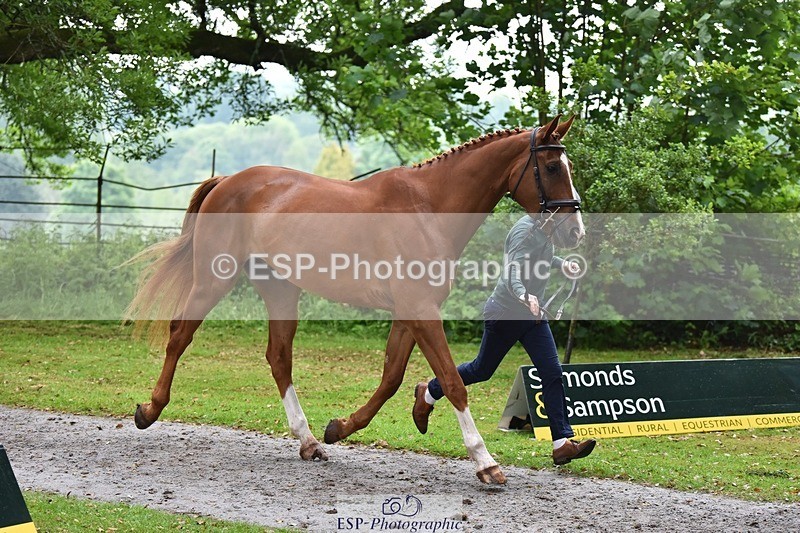 240522-164746-01163 - 221-LAGANS_RICE_STAR-Oliver_Thompson