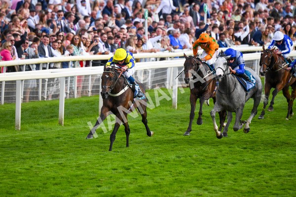 260823-Race 7-Astro King-1050 - Race 7 Sky Bet Finale Handicap at York