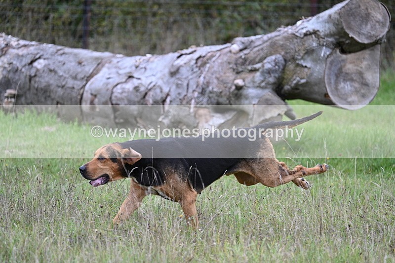 WJ7_3544 - Camera 1 Line 1