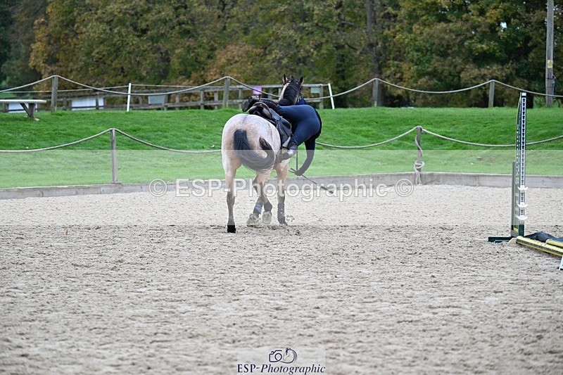 241116-105708-00721 - Cls 2 80-85cm Start to 11.30