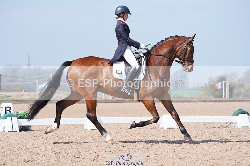 250404-122958-05672 - 028-Elizabeth.Allen-Heraldik