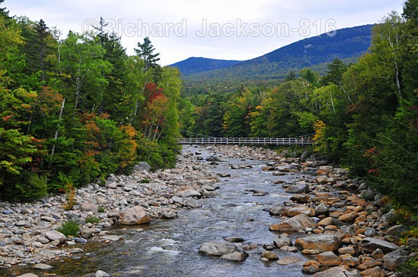 Swift River Footbridge - Out-and-About